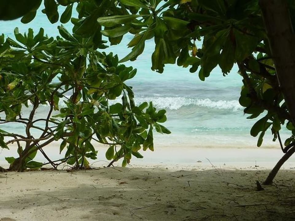Ausblick von der Veranda Kuramathi Maldives