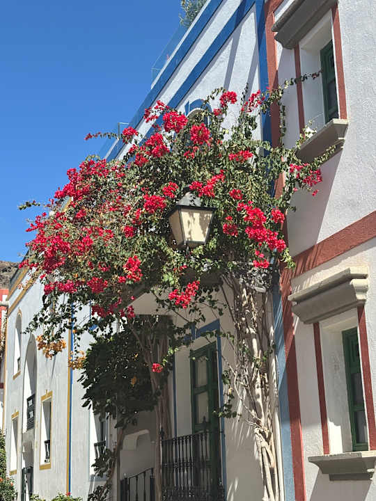 Ausblick Abora Buenaventura by Lopesan Hotels