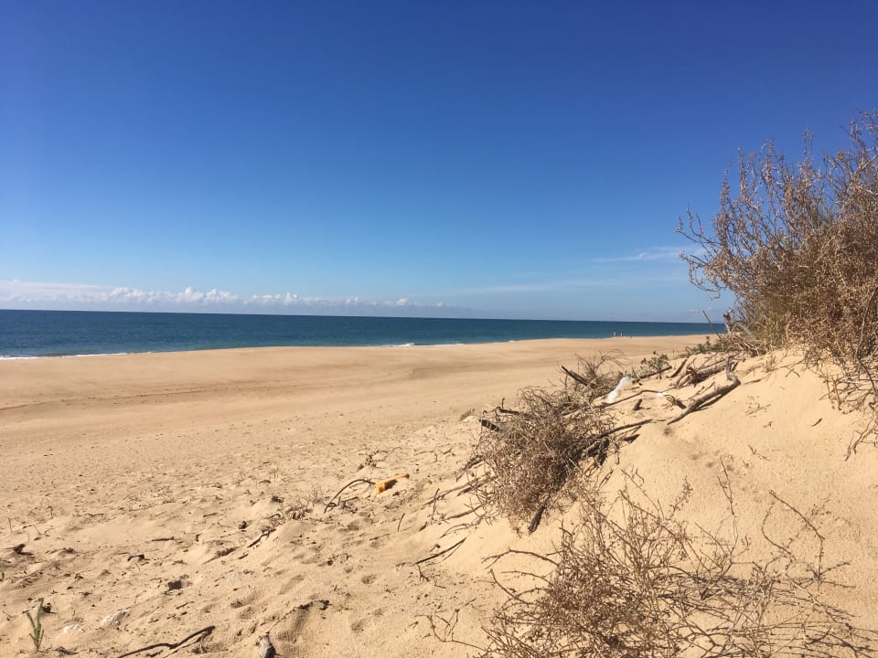 Strand Garden Playanatural - Adults only