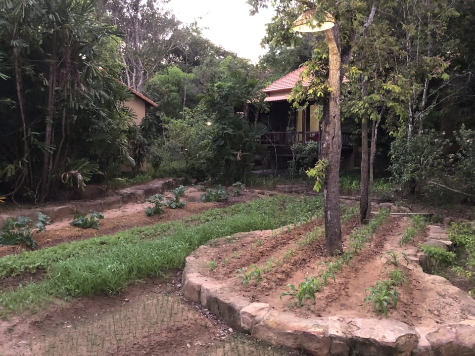Gartenanlage Green Bay Phu Quoc Resort & Spa