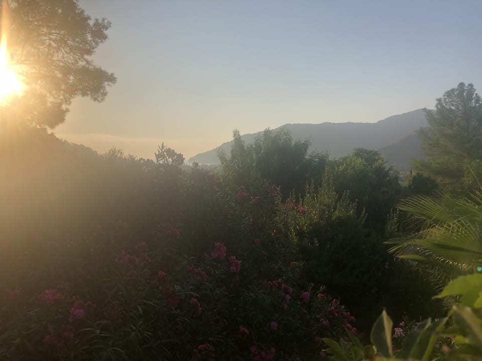 Ausblick LYKIA lodge | home of happiness