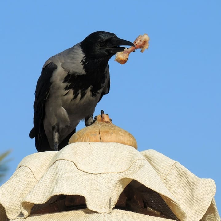 Strand Steigenberger Aqua Magic