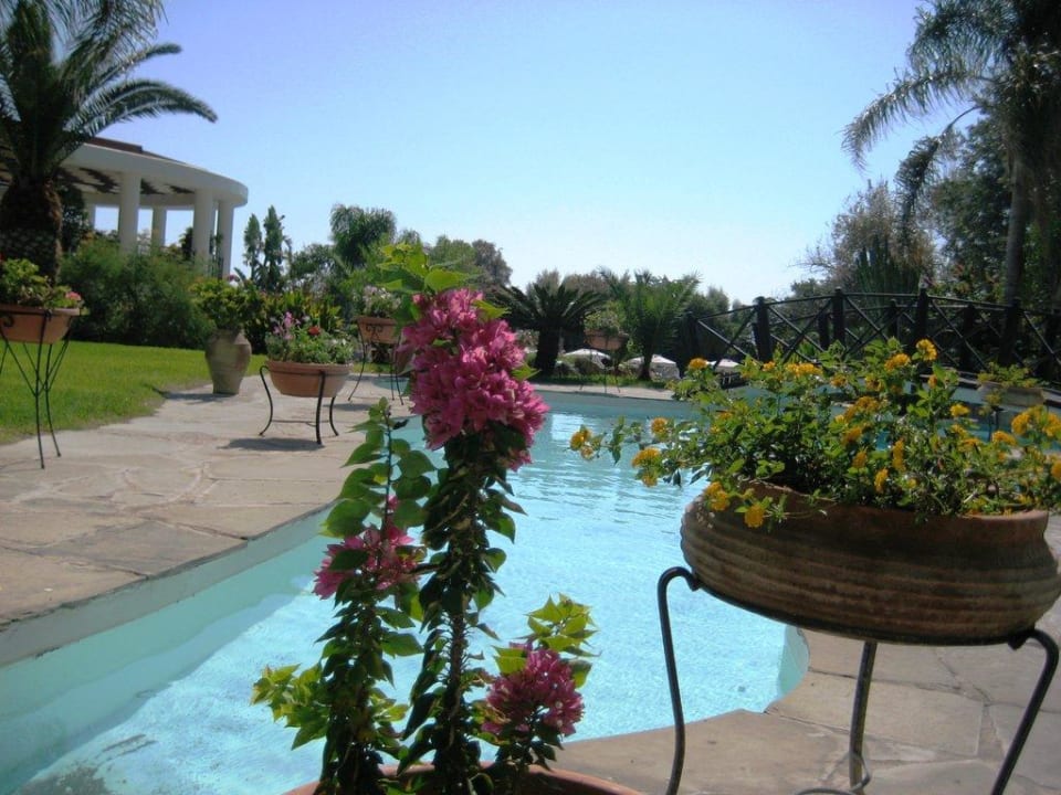 Pool- und Gartenlandschaft Hotel Calypso Beach