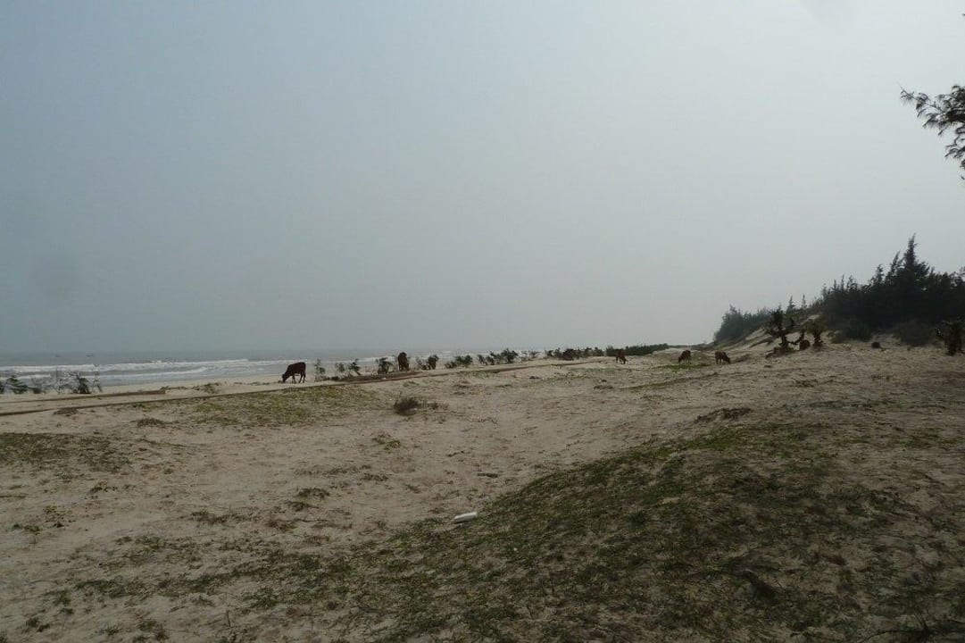Strand gegenüber der Straße Hoang Ha Cua Viet Resort