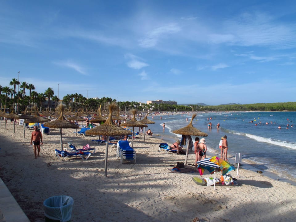 Blick auf den öffentlichen Strand Hipotels Mediterraneo Club
