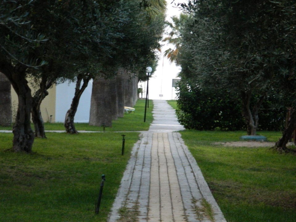 Der Weg zum Strand TUI KIDS CLUB Alex Beach