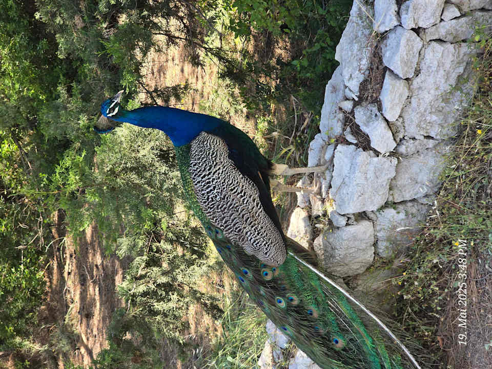 Sonstiges Rodos Palladium Leisure & Wellness