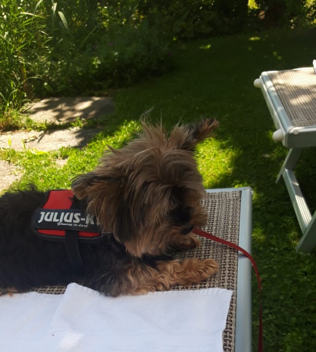 Gartenanlage Hotel Der Löwe - Lebe frei