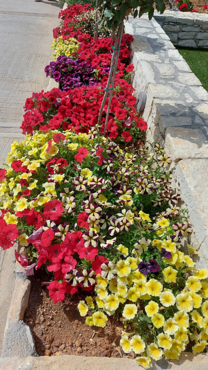 Gartenanlage Anissa Beach & Village