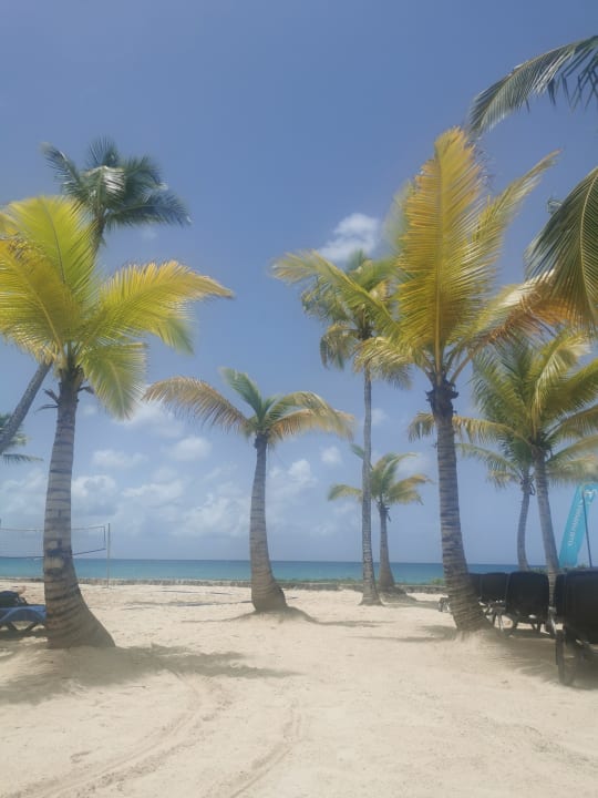 Strand Hotel Viva Dominicus Beach by Wyndham - All Inclusive Resort