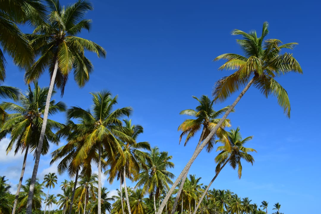 Strand Bahia Principe Grand El Portillo