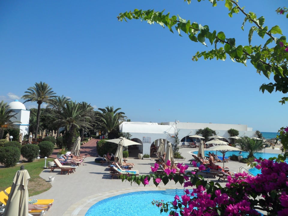 Pool Club Salammbô Hammamet