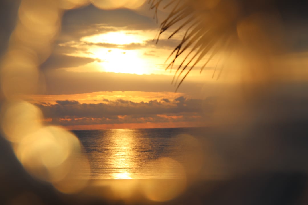 Ausblick Neptune Paradise Beach Resort & Spa