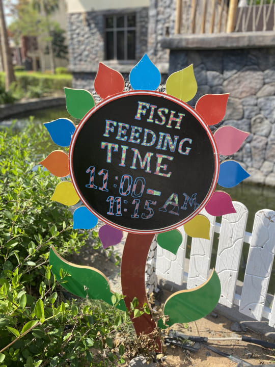 Sport & Freizeit Lapita - Dubai Parks & Resorts - Autograph Collection