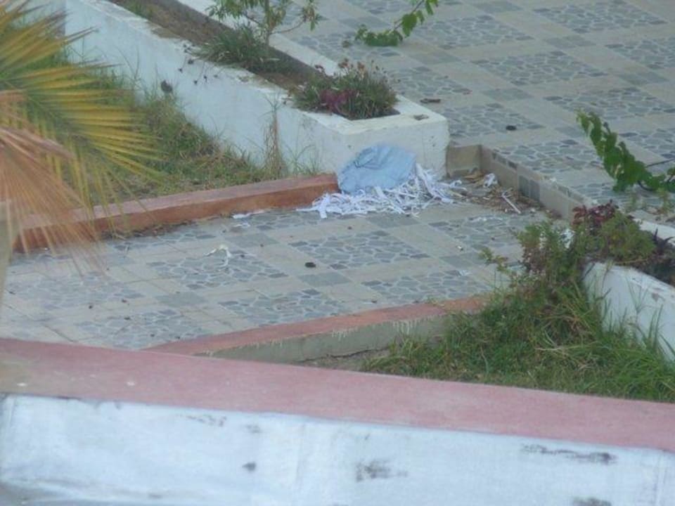 Eingang Palmyra Holiday Resort & Spa