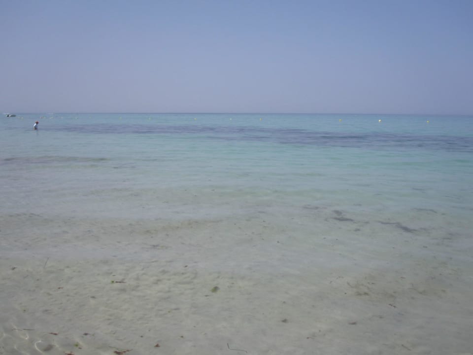 Hotelstrand TUI MAGIC LIFE Penelope Beach