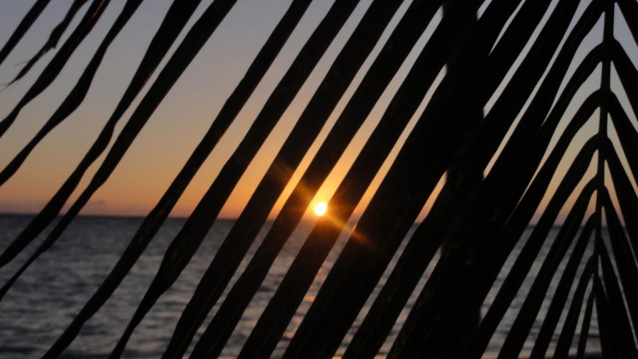Sonnenaufgang Catalonia Royal Bavaro - Adults only