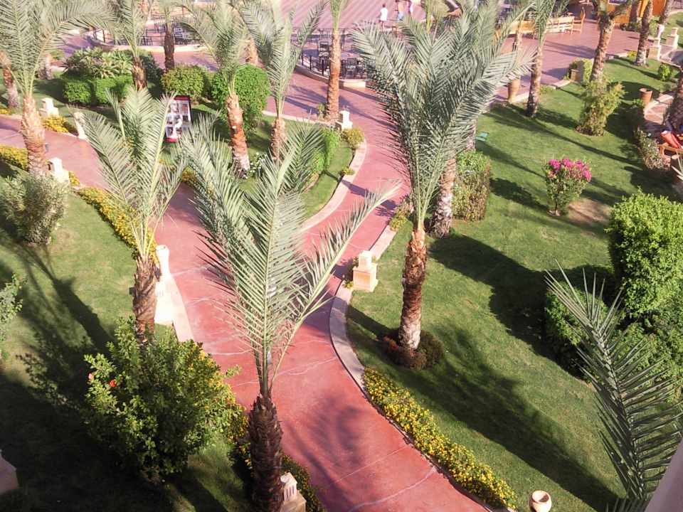 Gartenanlage Pickalbatros Palace Resort