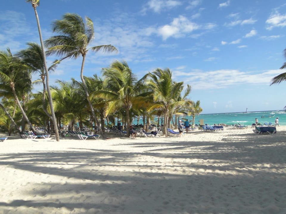 Plaża Hotel Riu Palace Punta Cana