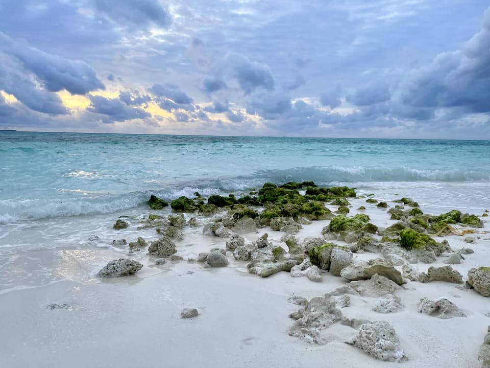 Strand Meeru Maldives Resort Island