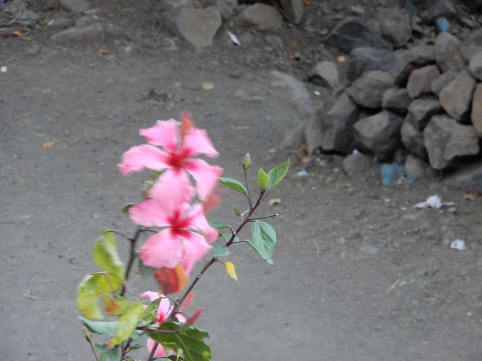 Ausblick Panoramic View Hotel