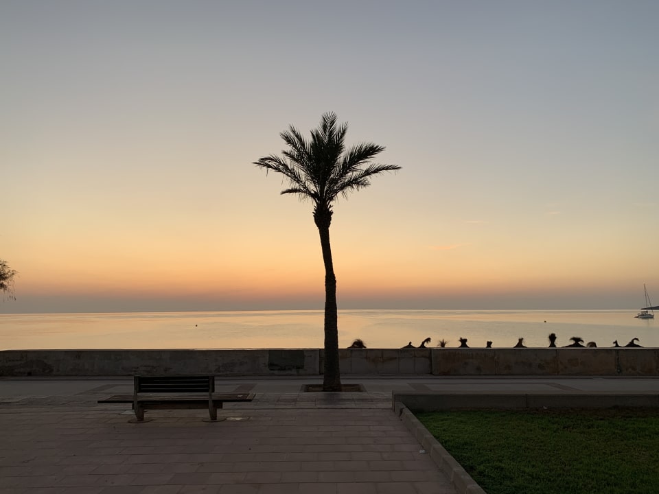Strand Hipotels Hipocampo Playa