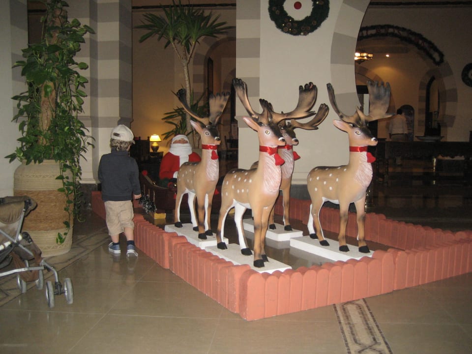 Lobby Stella Garden Resort & Spa, Makadi Bay