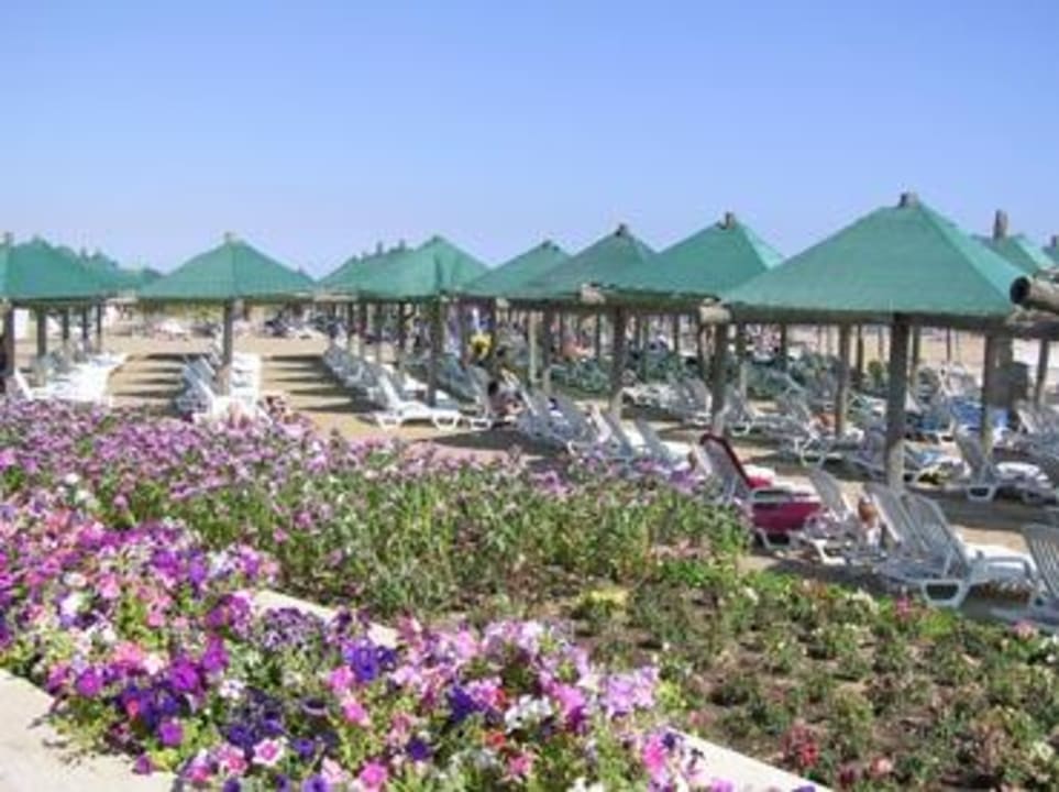 Strandabschnitt Petro Club VONRESORT Golden Beach