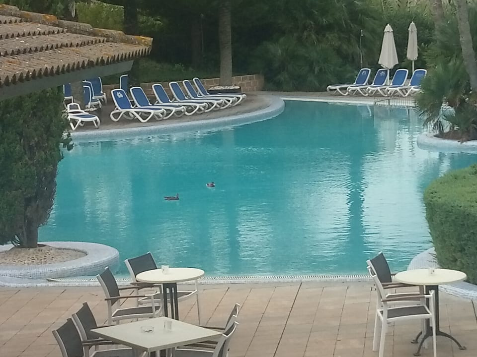 Gartenanlage PortBlue Club Pollentia Resort & Spa