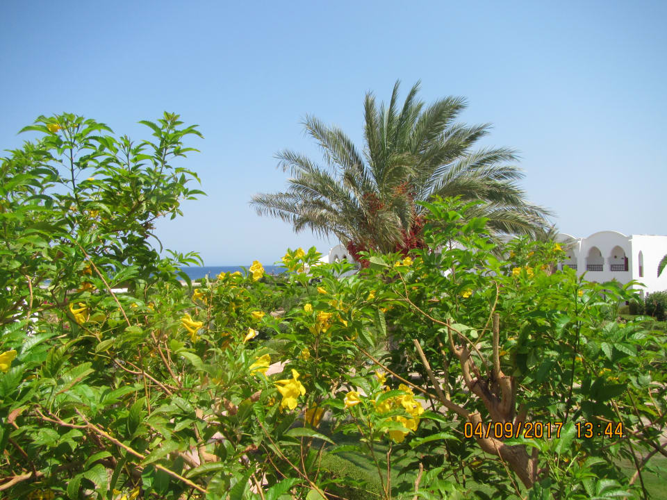 Außenansicht Hotel Gorgonia Beach Resort