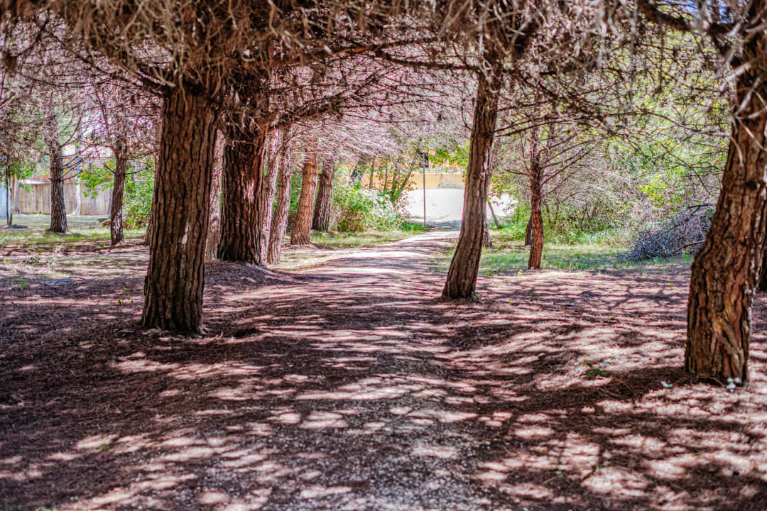 Ausblick COSTA RICA BIBIONE Eco Resort