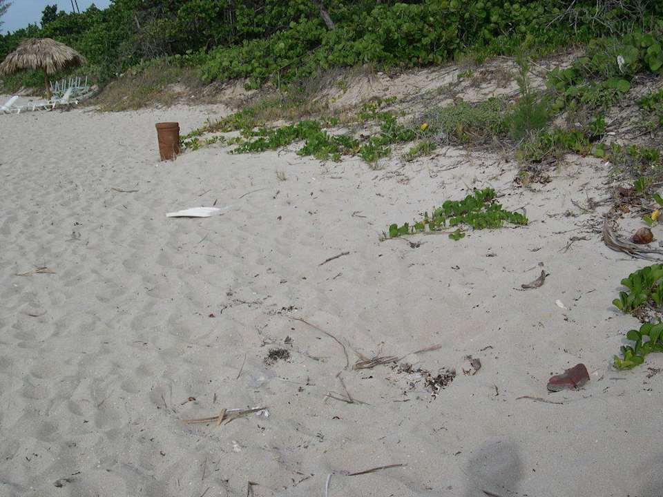 Katastrophe Sirenis Tropical Varadero