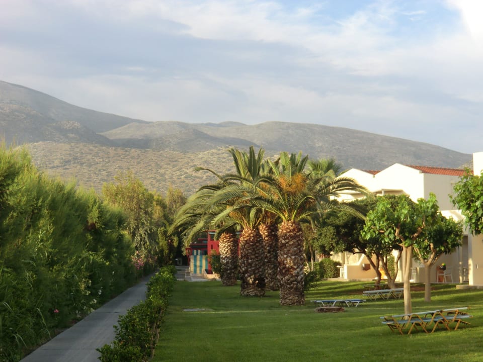 Herrlicher Panoramablick Phãea Cretan Malia