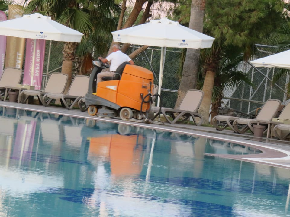 Pool Papillon Belvil