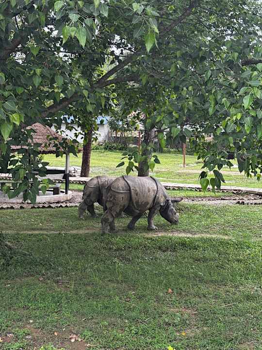 Gartenanlage Hotel Tharu Garden