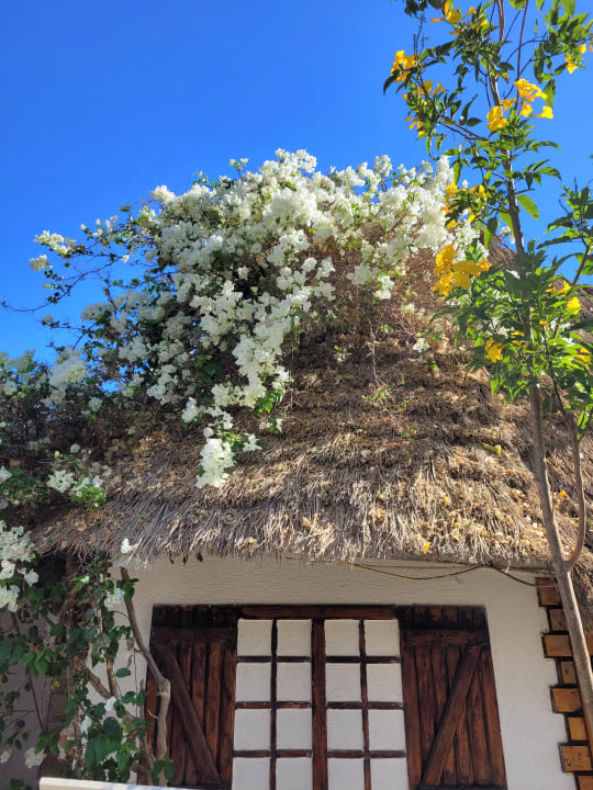 Zimmer Panorama Bungalows Resort El Gouna