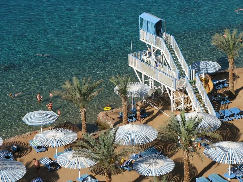 Albatros sharm 4. Beach Albatros Sharm. Beach Albatros Sharm 4. Albatros Sharm ex. Beach Albatros.