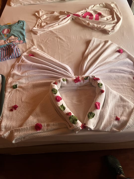 Zimmer Clover Magic Nova Beach