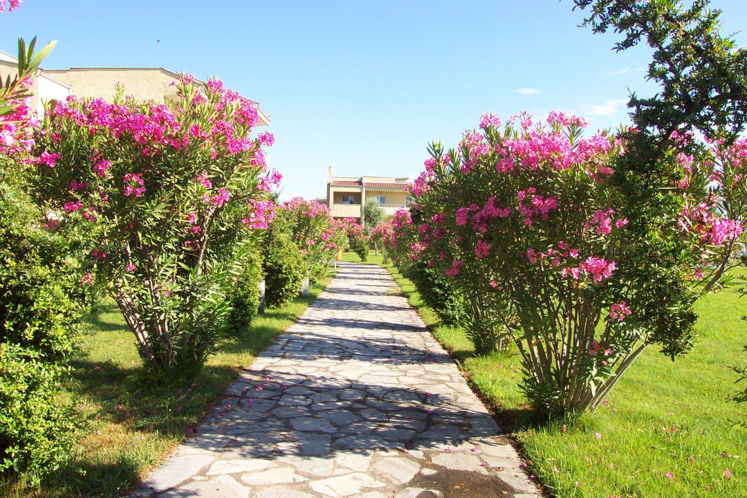 Wege innerhalb der Anlage alltoura Club Hotel Poseidon Palace