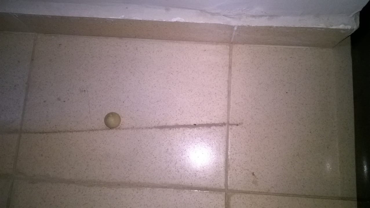 Zimmer Regina Resort and Aqua Park Hurghada