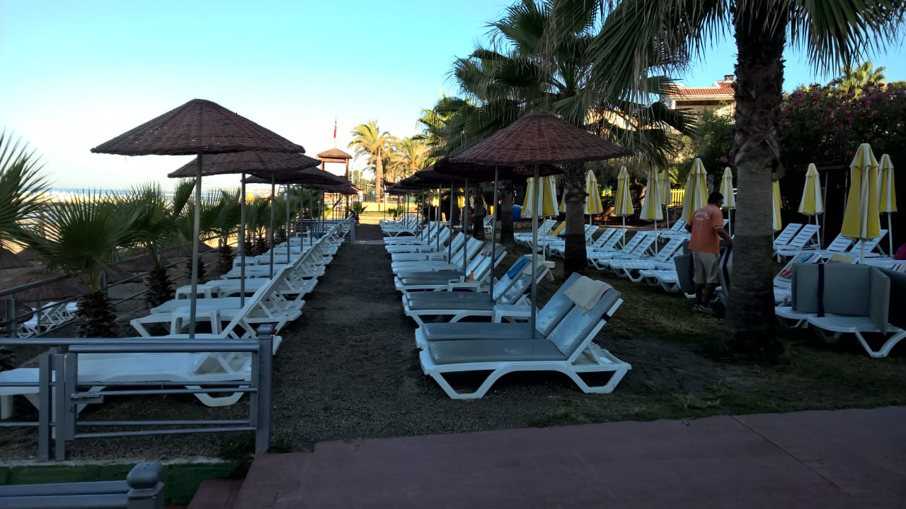 Strand Dizalya Palm Garden