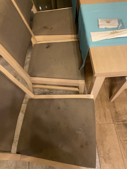 Gastro Seashell Vega