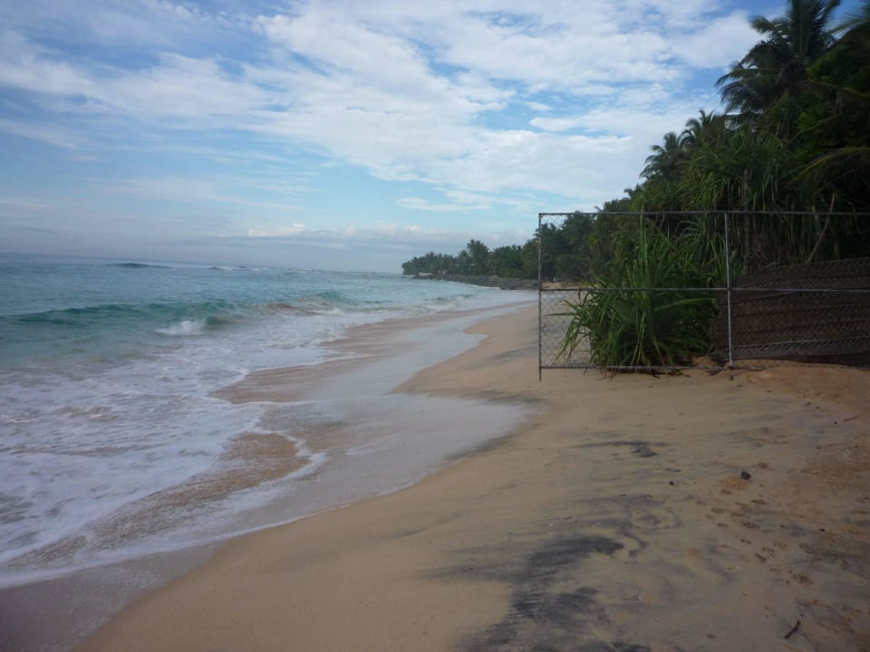 Strand Hotel Haus am Meer Wilde Ananas