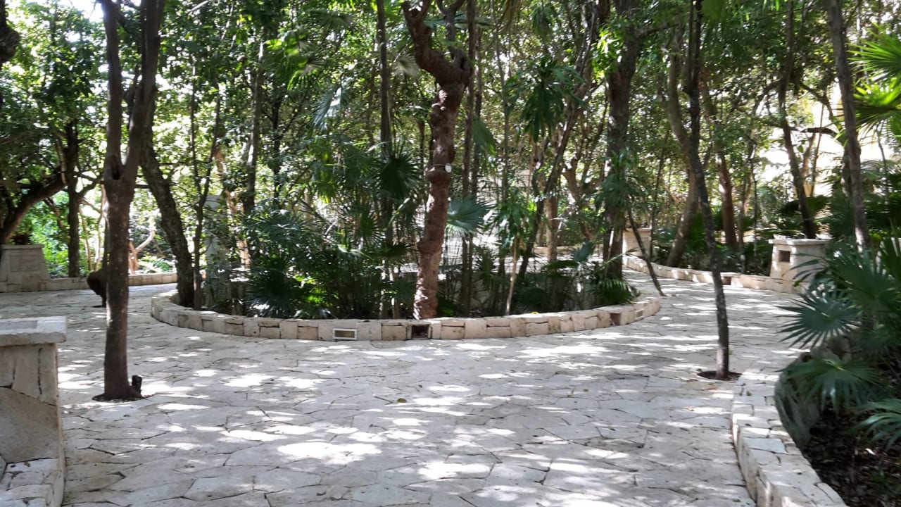 Sonstiges Catalonia Royal Tulum Beach & Spa Resort - Adults only