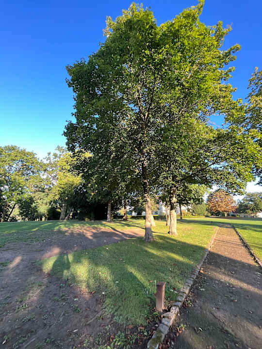 Gartenanlage Gut Gremmelin