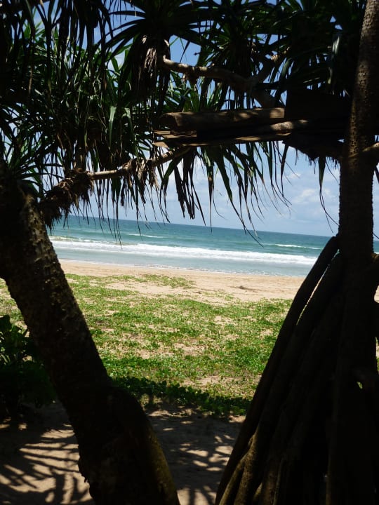 Strandimpressionen Thaala Bentota