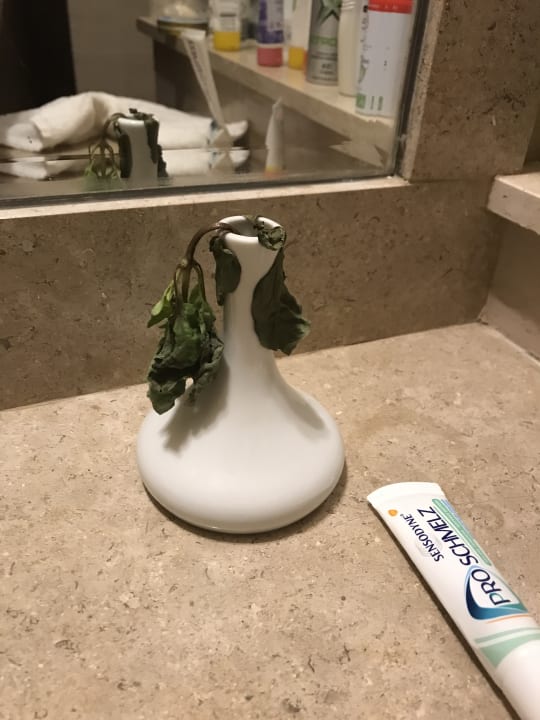 Zimmer Jaz Makadi Oasis Resort