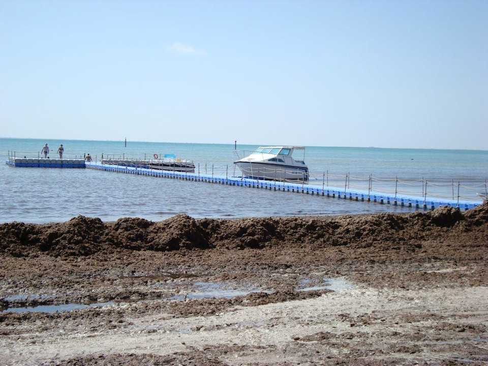 Immer noch Algen Hotel Bravo Djerba