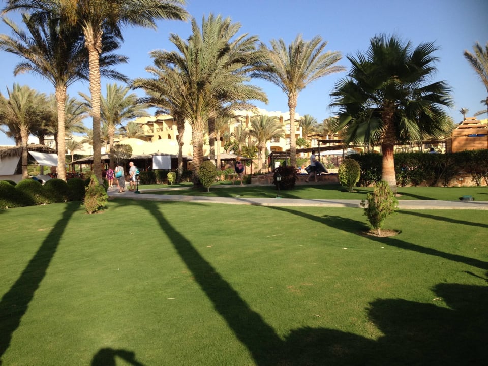 Schön grün Jaz Solaya