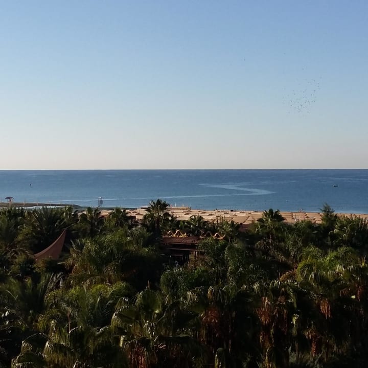 Ausblick aus dem Zimmer Seamelia Beach Resort